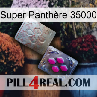 Super Panthère 35000 38